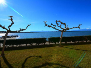 Appartement Port Barcarès, 2 pièces, 4 personnes - FR-1-431-147